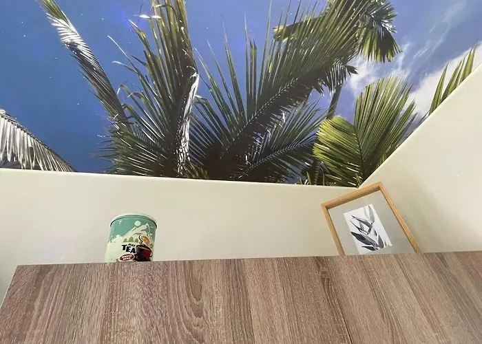 Apartment St Bruno - « Palmiers » *