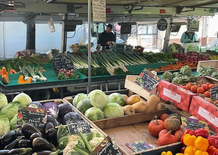 St Bruno - « Palmiers » 公寓 格勒诺布尔