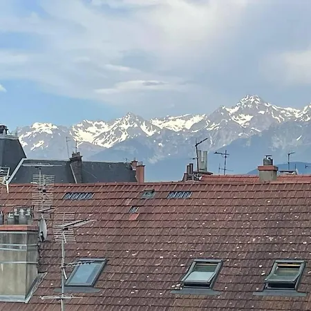 St Bruno -   Palmiers *