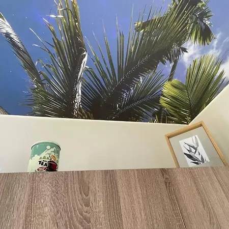 Apartment St Bruno -   Palmiers *